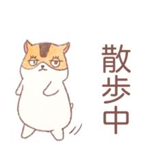 happy birthday midori