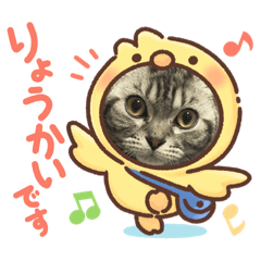 YUKA_20230513225924
