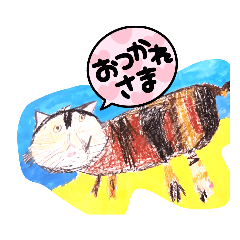 m&t 貓