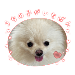 Sunny_20230514101703