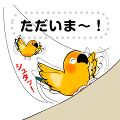 Cute  orange bird's  24messages