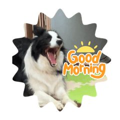 Nozomi_20230514141814