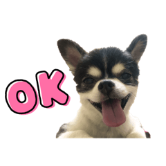 arisa_20230514143920