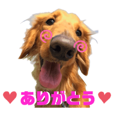 RURU_20230514162015