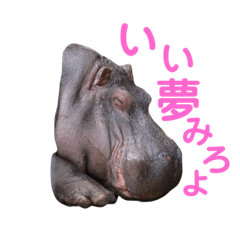 hana_20230514144539
