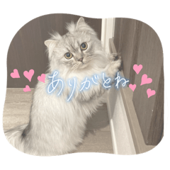 TOMOMI_20230514213331
