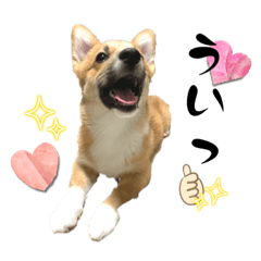 megumi_20230514230449