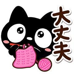 Very cute black cat94