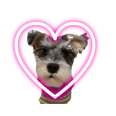 sunny_20230515064656