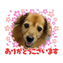 yun_20230515063420