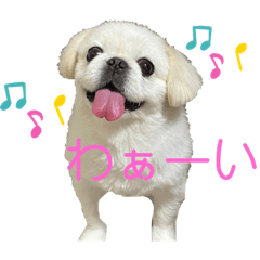 fuwa_20230515065009