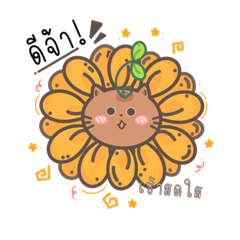 -Sunflower Cat-