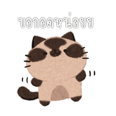 Rainy._.Season