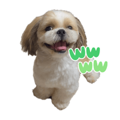 Ruby_20230514164217