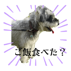 Jack_20230514200240