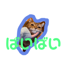 Mizuki_20230514214637