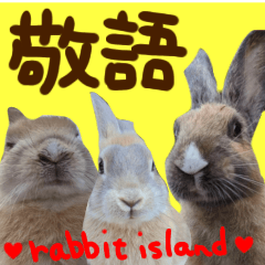rabbit island photo sticker2023no1