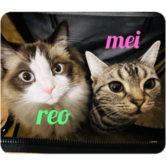 NATSUMI_20230515091122