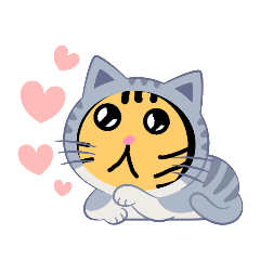 cute cat_20230515070343