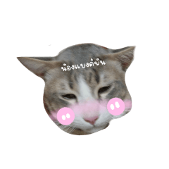 kana_20230515091929