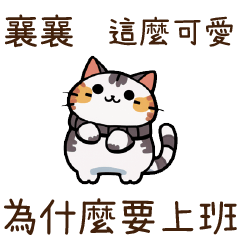 Cat Guide2Xiangxiang87