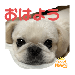 fuwa_20230514202742