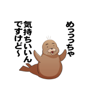 Kimurasun_20230513224717