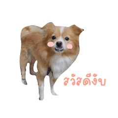 kana_20230515153328