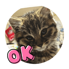 hotami_20230515121832