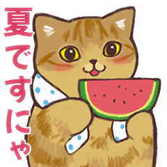 Summer Cats Stickers