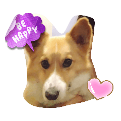 Alice_20230515180518