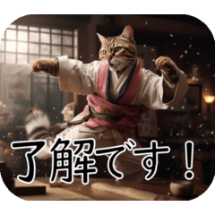Kung fu cat (version 2)