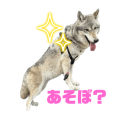 Kana_20230515194000