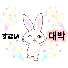 Korean pure pyon rabbit sun-su pal