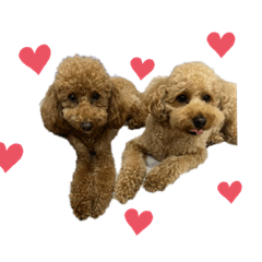 boniKare_20230515070042