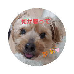 yokko_20230516144434