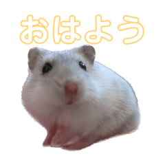 HIKARI_20230516142905