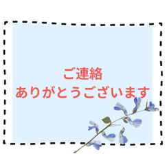 Megumi_20230516164138
