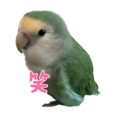kana_20230516191736