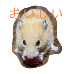 yuka_20230516182208