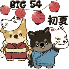 【Big】柴犬・ちゃちゃ丸たち 54『初夏』