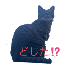 ton_20230516194519
