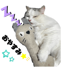 ARISA_20230516205313