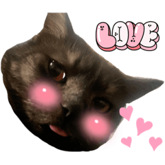 Woraya_20230517033536