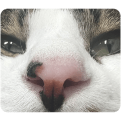 Hikari_20230516201321