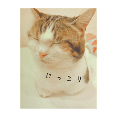 Konyanco