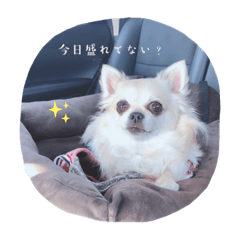 creoni_20230516232758