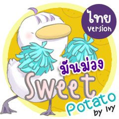 MM Sweet Potato (TH)