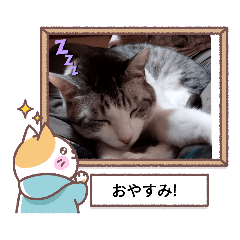 saho_20230517165318