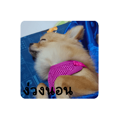 namsai_20230517173736